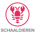 allergenen